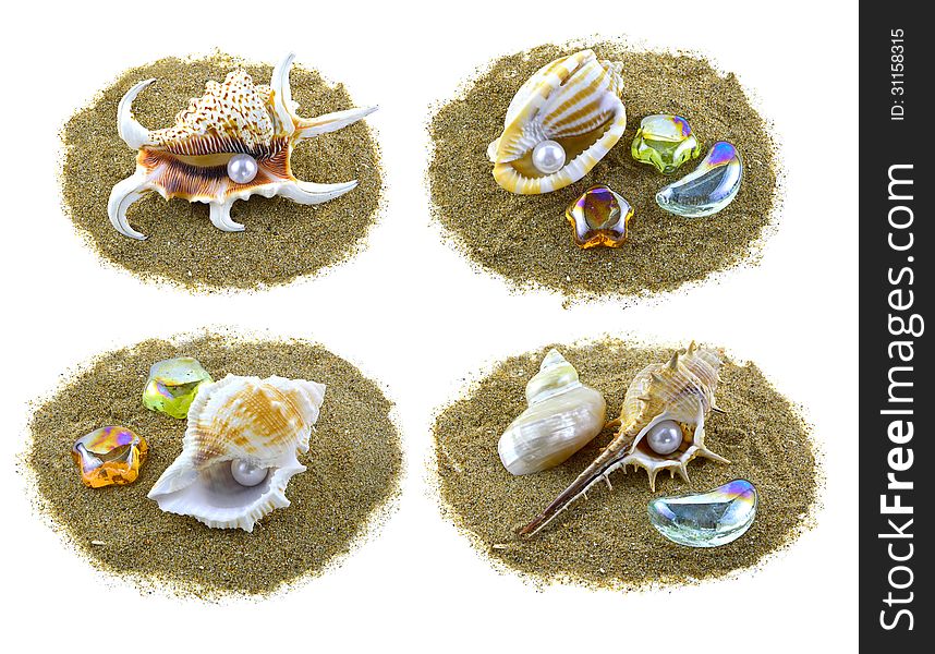 Set of shells with pearls on sand isolated. Set of shells with pearls on sand isolated