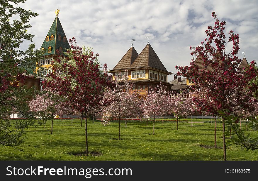 Wooden Palace of Tsar Alexei Mikhailovich in Kolomenskoye Between Blooming Apple Trees in Spring Time. Wooden Palace of Tsar Alexei Mikhailovich in Kolomenskoye Between Blooming Apple Trees in Spring Time