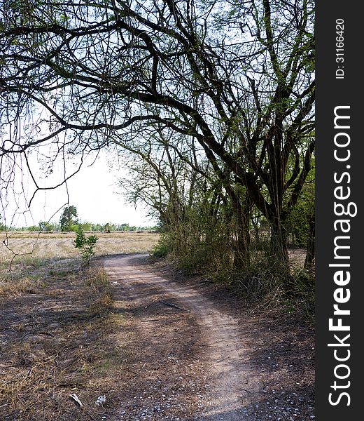 Road in countryside of Thailand. Road in countryside of Thailand