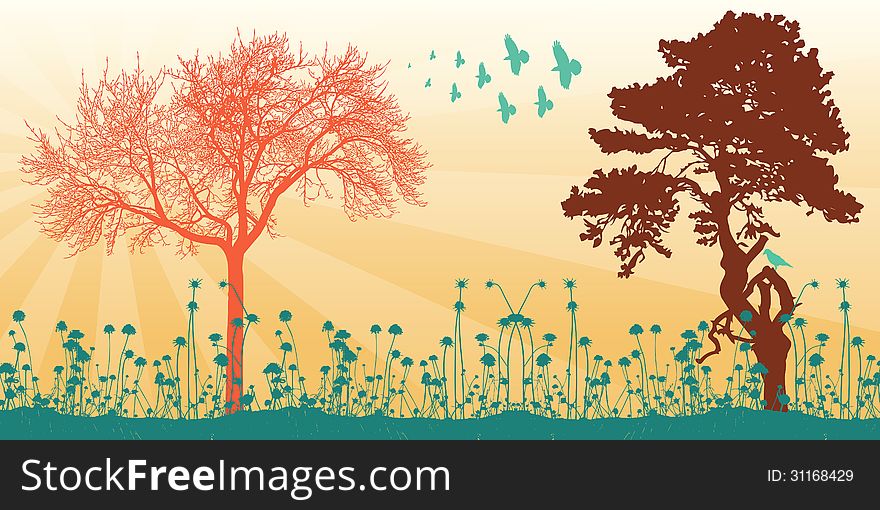 Illustration of a landscape with trees, foliage and birds. Illustration of a landscape with trees, foliage and birds