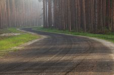 Forest Road. Royalty Free Stock Images Forest Road. Royalty Free Stock Images
