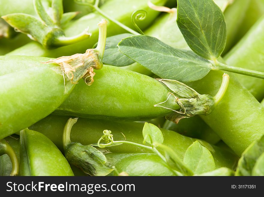 Peas pod leaves macro closeup