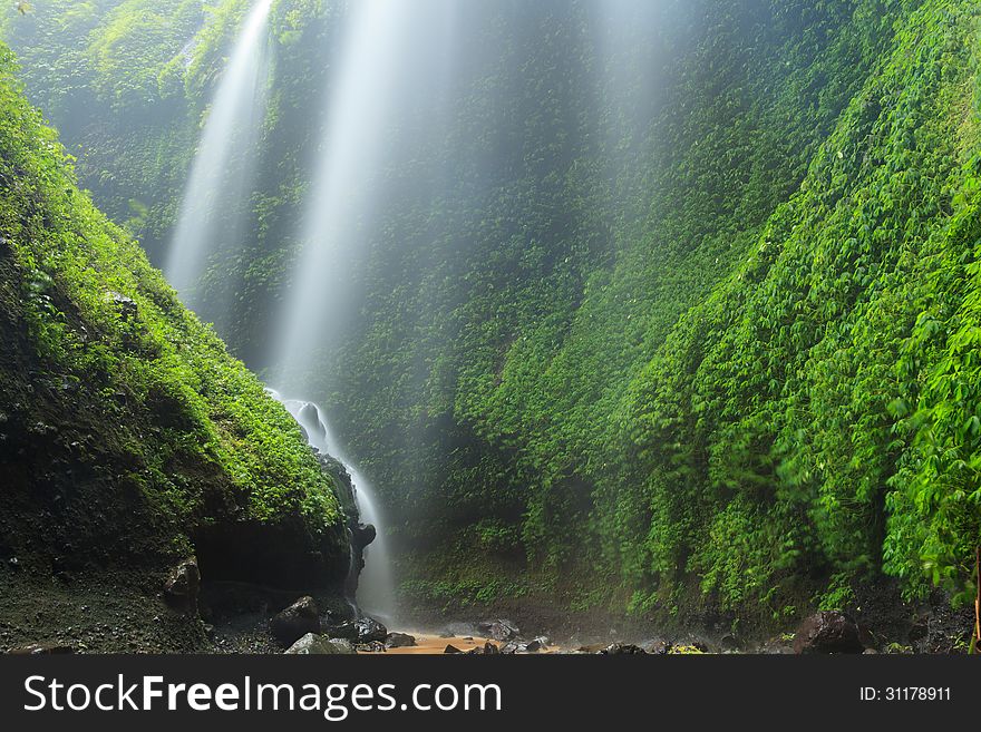 Madakaripura Waterfall â€“ Deep Forest Waterfall