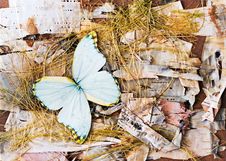 Abstract Composition From Butterflies, Birch Bark And Straw. Royalty Free Stock Photos Abstract Composition From Butterflies, Birch Bark And Straw. Royalty Free Stock Photos