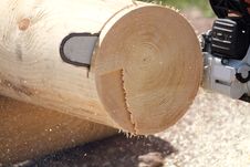 Chainsaw Blade Royalty Free Stock Photos Chainsaw Blade Royalty Free Stock Photos