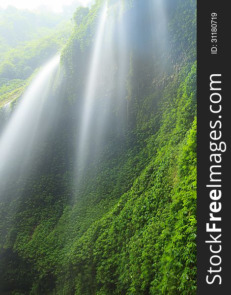Madakaripura Waterfall â€“ Deep Forest Waterfall