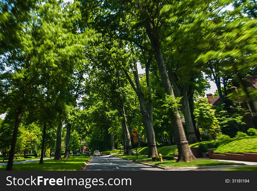 Beautiful scenic road in charlotte city, queens road. Beautiful scenic road in charlotte city, queens road