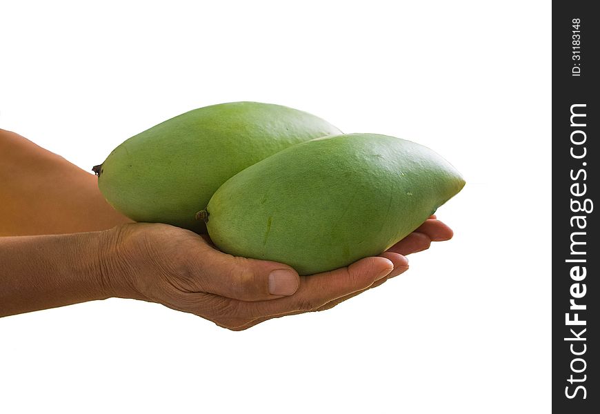 A couple of mangoes on palmar surface of both hands.