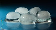 Melting Ice Cubes Stock Images