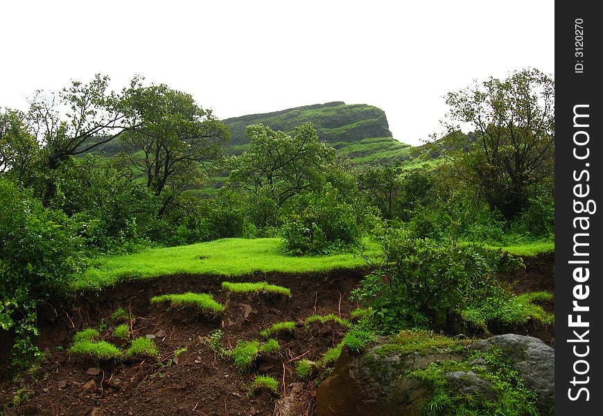 A dark mountain landscape having green field and trees.