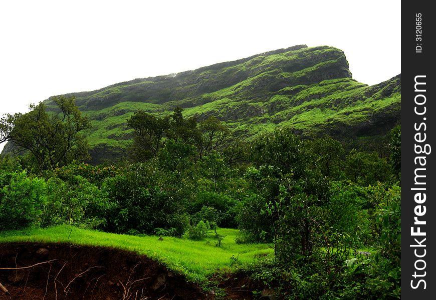 A chilling color of dark monsoon landscape. A chilling color of dark monsoon landscape.
