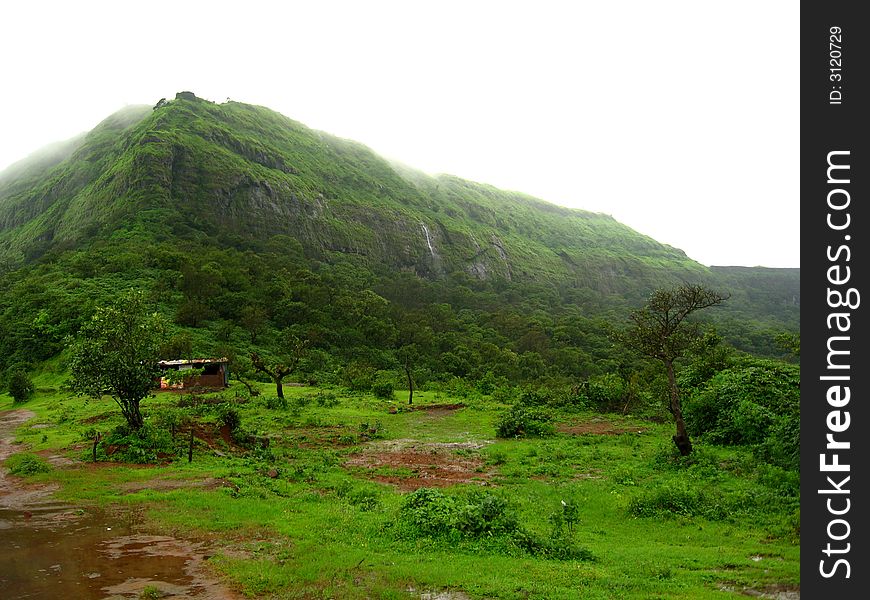 The distant and dark green mountain greenery in India. The distant and dark green mountain greenery in India.