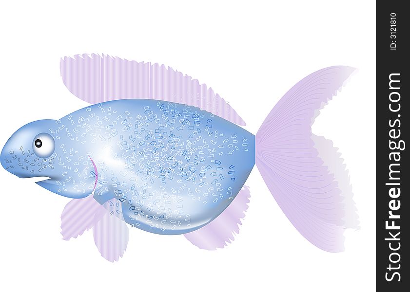 Fish isolated on white background