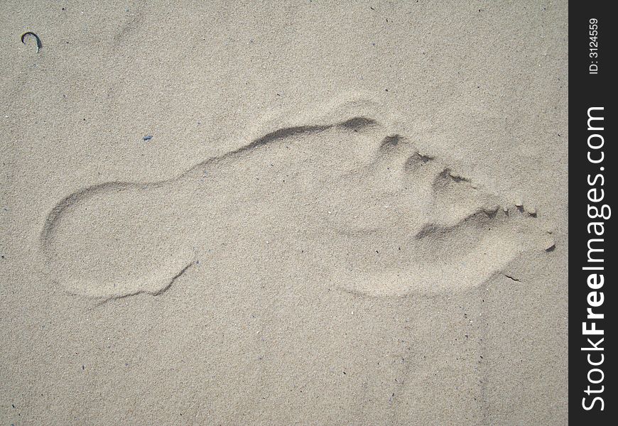 Women's footprint in the sand. Women's footprint in the sand