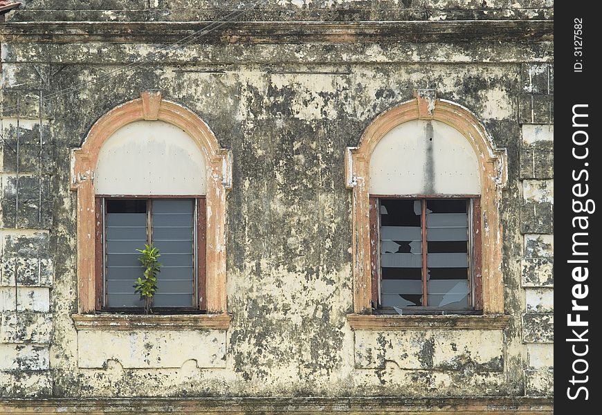 Two windows on a badly maintained, worn, old building. One window is broken, and a plant is growing out of the other. Two windows on a badly maintained, worn, old building. One window is broken, and a plant is growing out of the other.