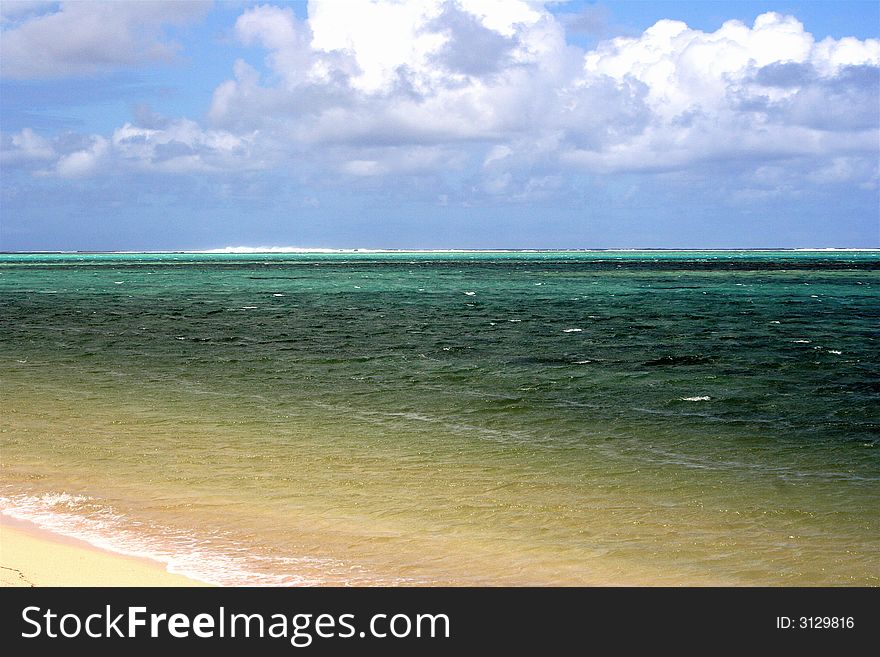 The tropical beach in the sunny day