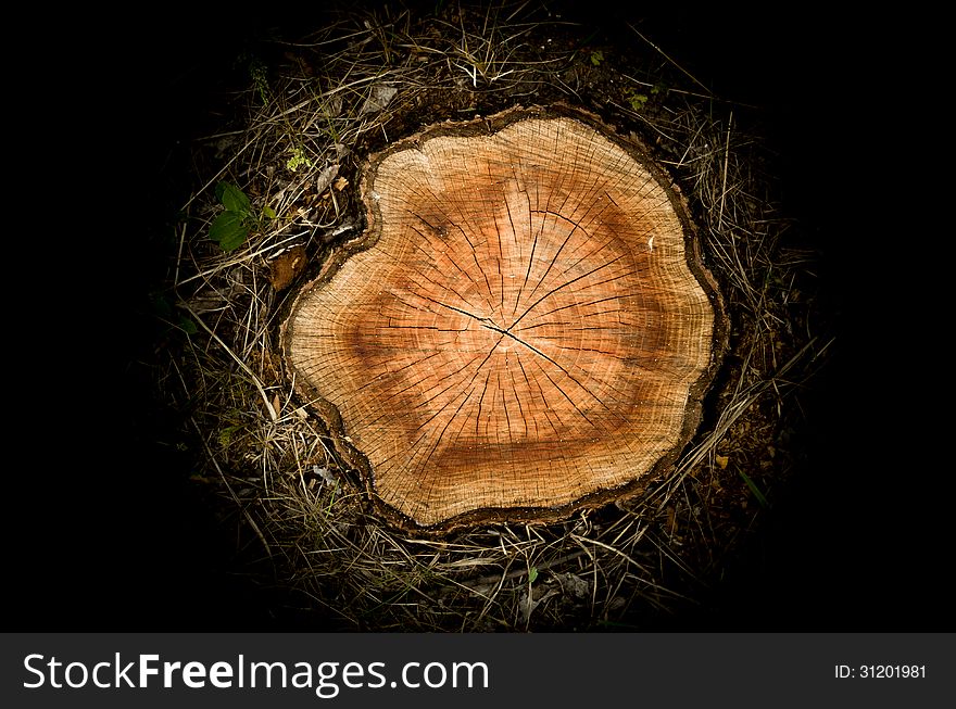 Abstract image on a black background purple blue ball shaped stump. Abstract image on a black background purple blue ball shaped stump