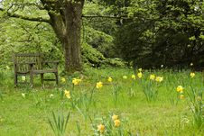 Wooden Bench In Tatton Park, UK Royalty Free Stock Photo Wooden Bench In Tatton Park, UK Royalty Free Stock Photo