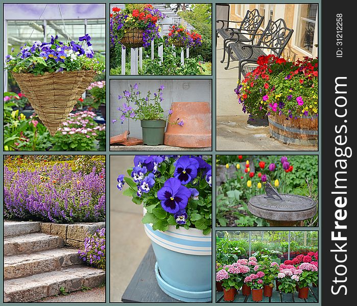 Garden collage of assorted colorful spring flowers. Garden collage of assorted colorful spring flowers