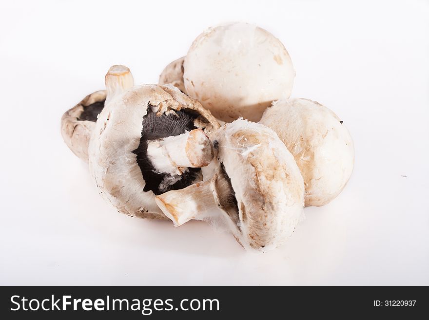 Spoiled rotten field mushrooms on a white background.