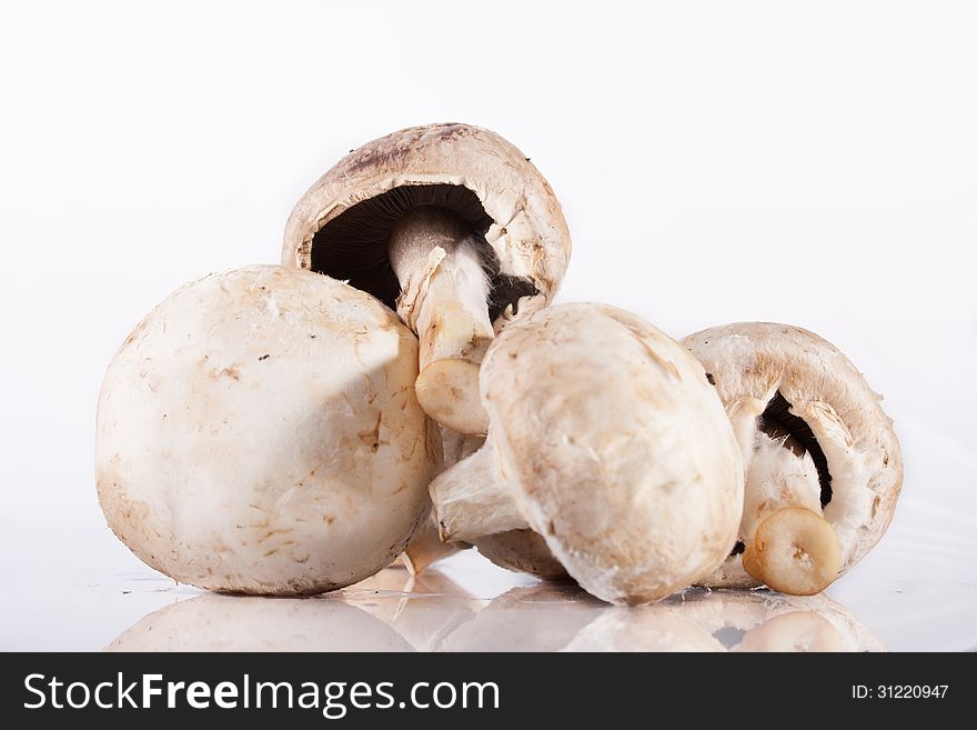 Spoiled rotten field mushrooms on a white background. Reflected in the table.