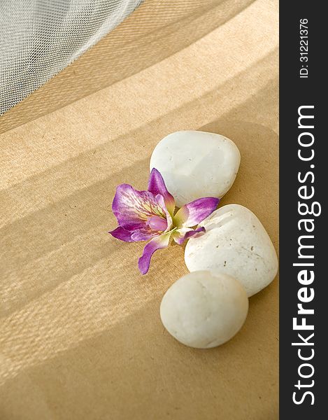 Orchid and white stone on brown background with light and shadow. Orchid and white stone on brown background with light and shadow