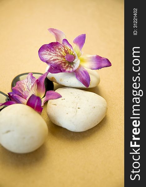 Orchid With Stone On Brown Background