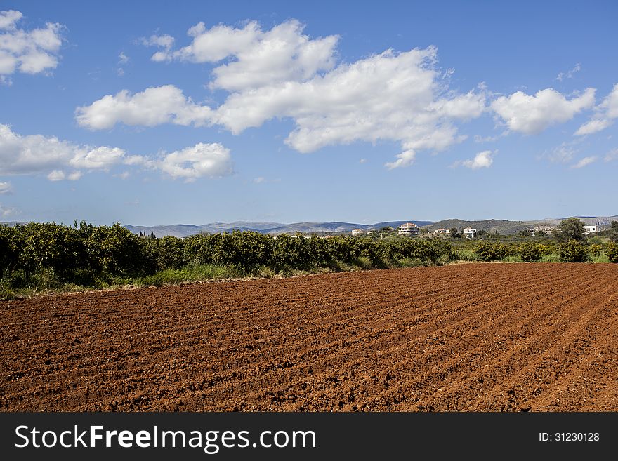 Plough soil rows at cultivated field