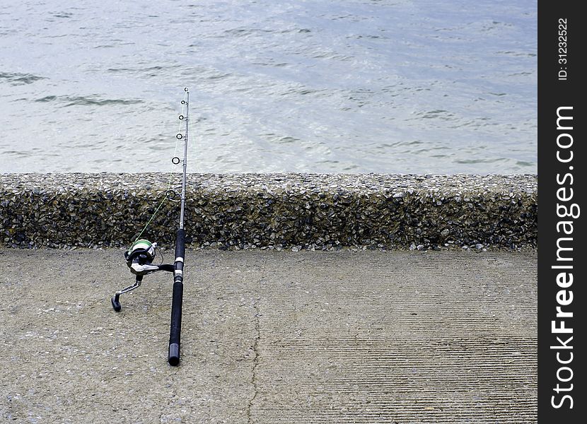 Fishing Rod And Reel