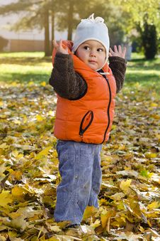 Child In Autumn Park Stock Images Child In Autumn Park Stock Images
