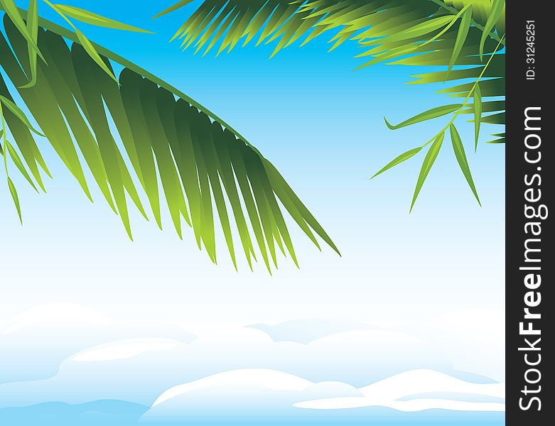 Palm branches on the cloudscape background. Illustration