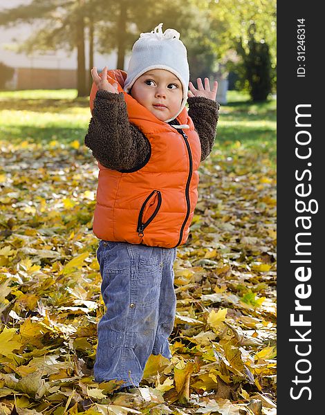 Child toddler, bou ro girl, playing in autumn or fall park with yellow leaves. Child toddler, bou ro girl, playing in autumn or fall park with yellow leaves