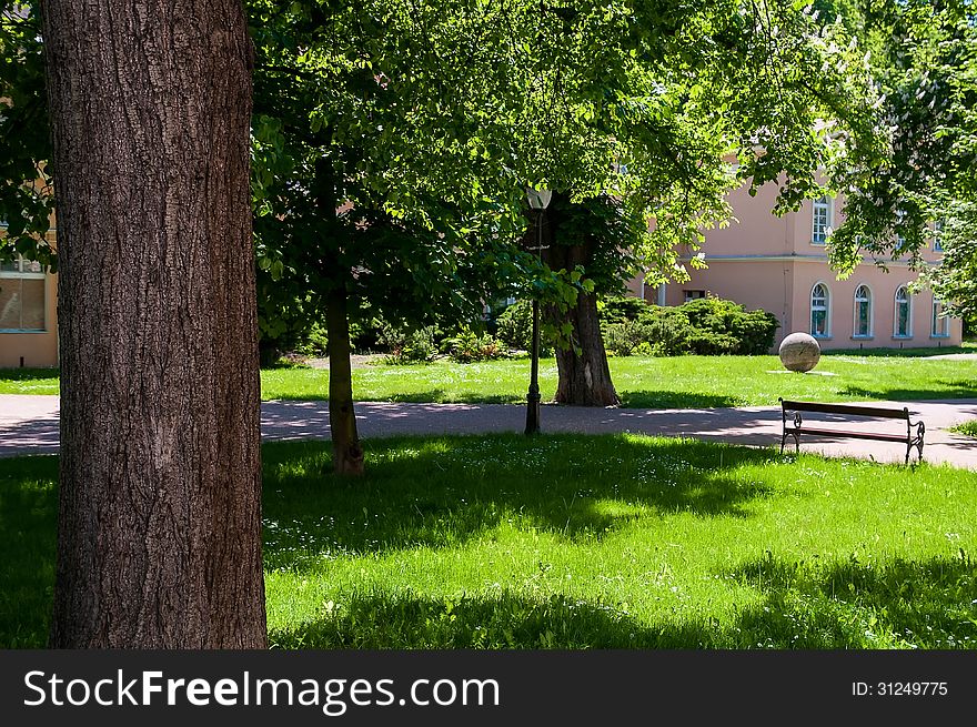 Park with bench, green trees and road. Park with bench, green trees and road