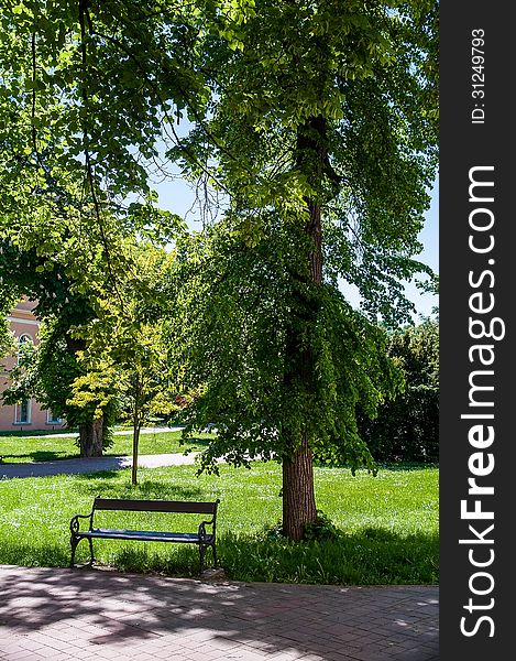 Park with bench, green trees and road. Park with bench, green trees and road