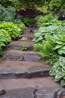 Stone Steps In Botanical Garden Stock Photo Stone Steps In Botanical Garden Stock Photo