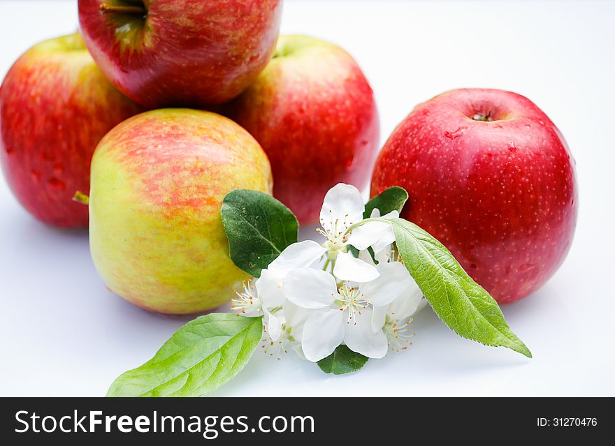 Apples decorated with appleflowers isolated on white underground