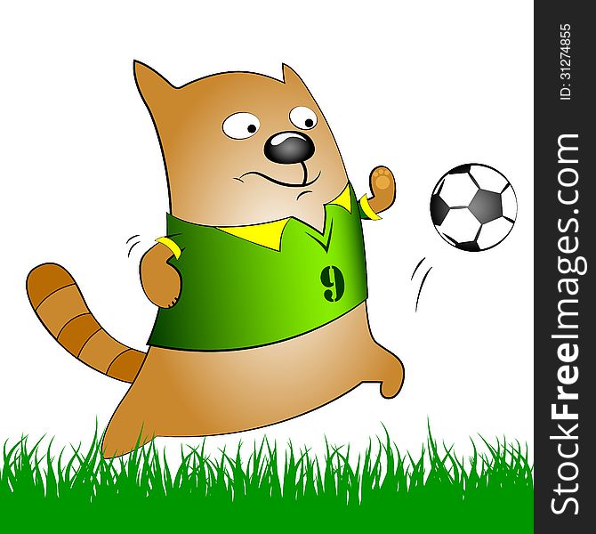 Cat With Soccer Ball