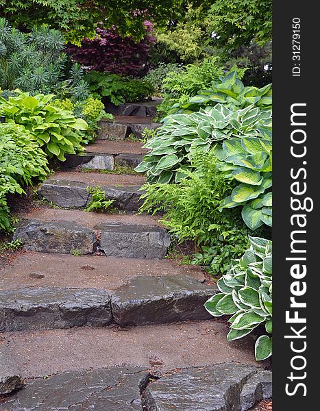 Stone staircase in lush green botanical garden. Stone staircase in lush green botanical garden