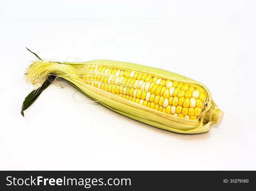 The mature corn still life