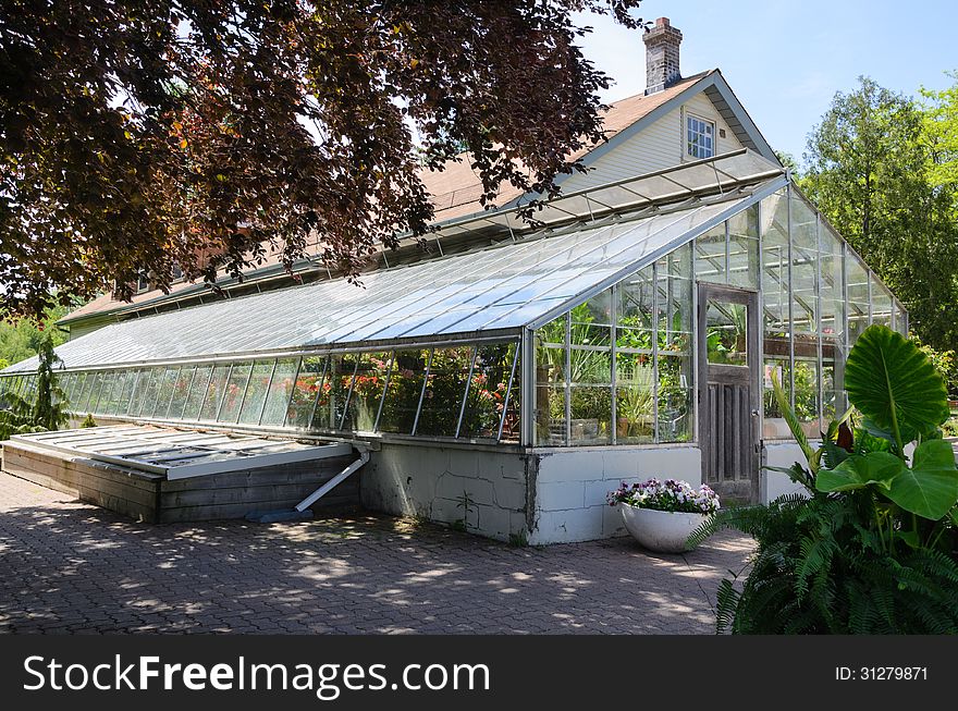 Glass greenhouse with plants and foliage