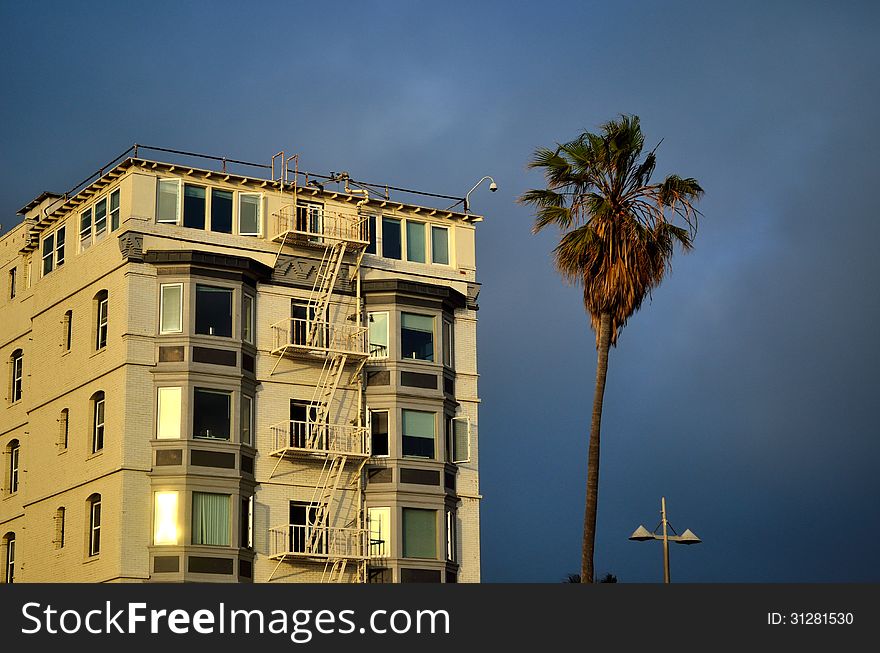 A beachside building and palm tree.