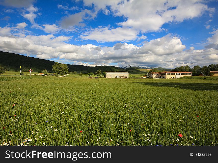 Rural land with farms in the spring