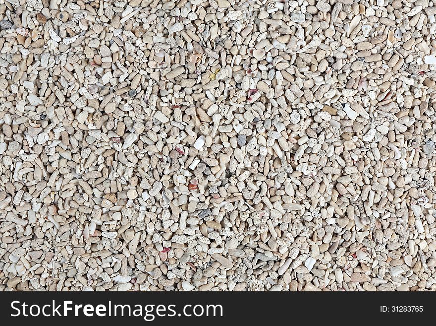 Sand natural tropical texture pattern background shell. Sand natural tropical texture pattern background shell