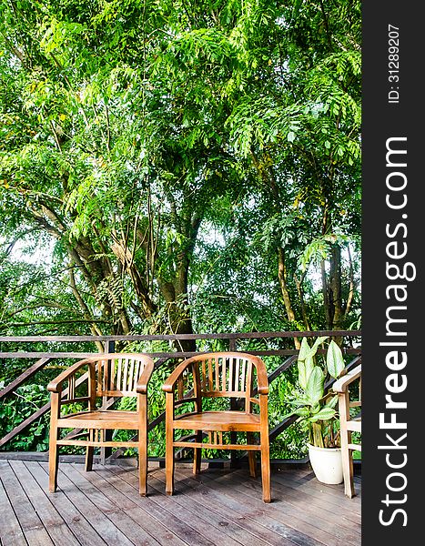 2 wodden chairs in a jungle resort