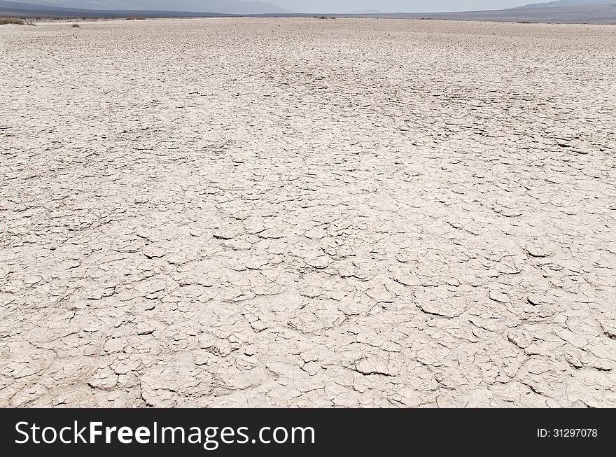 Mojave desert in USA , California