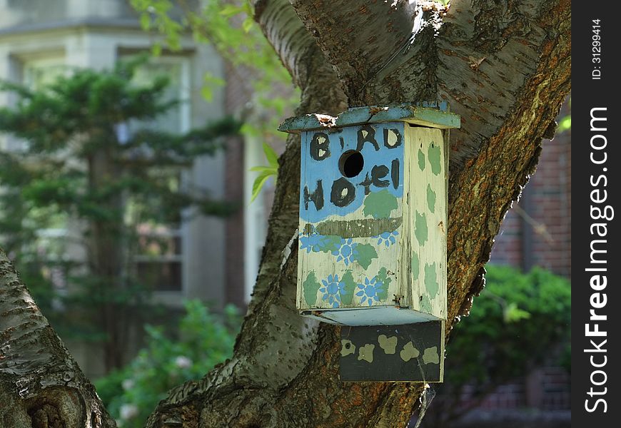 Colorful birdhouse hangs from tree trunk, horizontal. Colorful birdhouse hangs from tree trunk, horizontal.