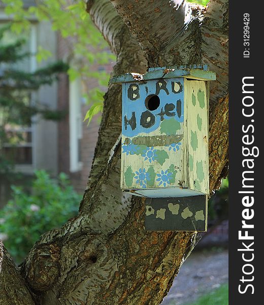 Colorful birdhouse hangs from tree trunk, vertical. Colorful birdhouse hangs from tree trunk, vertical.