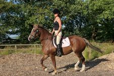 Upright Riding Posture Stock Photos Upright Riding Posture Stock Photos