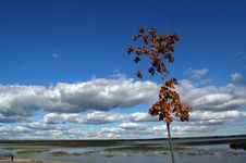 The Northern Lake Royalty Free Stock Photos The Northern Lake Royalty Free Stock Photos