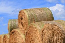 Rolls Of Hay Royalty Free Stock Photography Rolls Of Hay Royalty Free Stock Photography